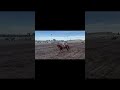Thumbnail image 5