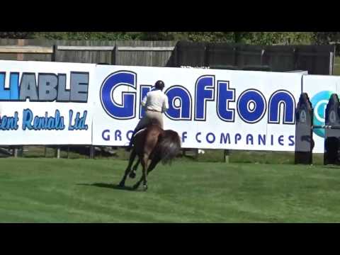 Zamira Z.  1.35m Tbird.