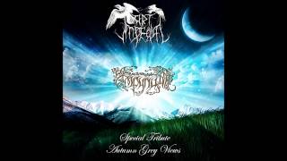 Art Imperial - Autumn Grey Views (Empyrium Cover)