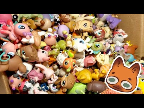 BUYING AN ENTIRE LPS COLLECTION | 250+ LPS HAUL