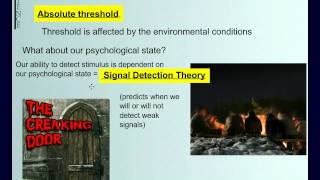 Introduction To Sensation