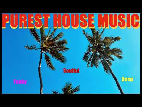 Funky Disco House Music Mix -  Ibiza Deep Dance Soulful Remix DJ Set Clubbing