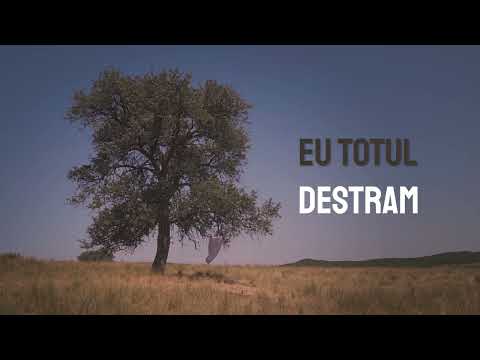 Cenusa Soarelui - Cum(va) Vrea Ea (Lyric)