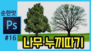 📘[포토샵 강의] 나무 누끼따기🌲 How to Cut Out a Tree in Photoshop cc [좐느 포토샵 강좌]