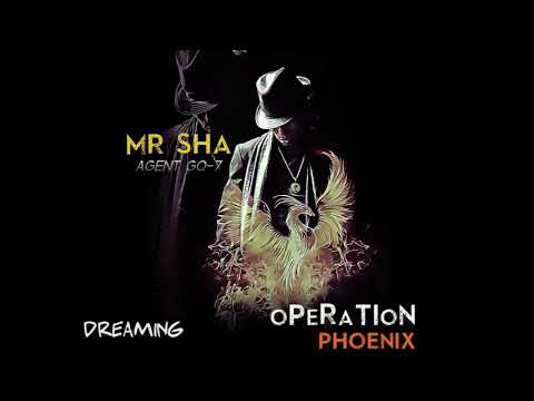 Mr. Sha x Edo G & Masta Ace- Dreaming