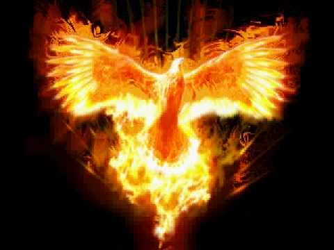 stefano santi volero'