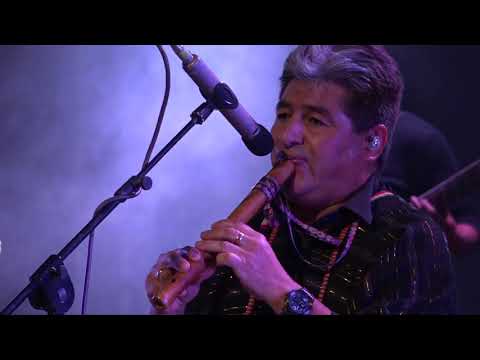 MIX SAN JUANITOS - PROYECCION