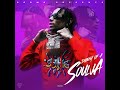 Soulja Boy Diary Of A Soulja Full Mixtape
