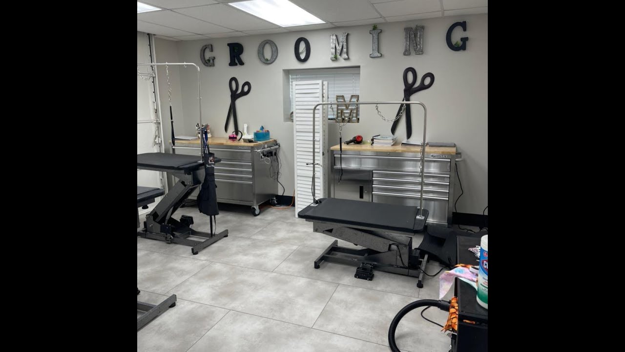 Painting - Commercial Dog Groomer in Wylie, TX