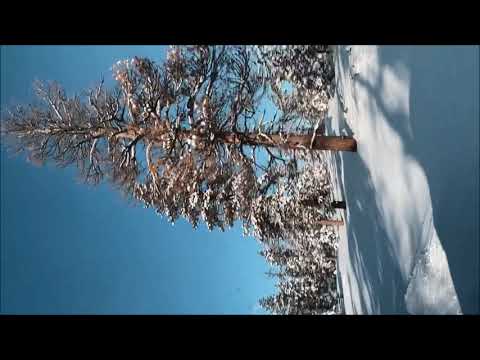 Ave Maria (by Edyta Prajsnar) & Winter forest scene (by Kim Da-Bin Boryung Co, 2019 winter)