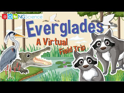 Florida Everglades Decomposers