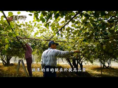 高雄農業故事館 - 蜜棗 國語