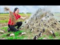 Harvesting 1000 mutant white mice & Go To Market Sell -Instructions how to make effective mouse trap