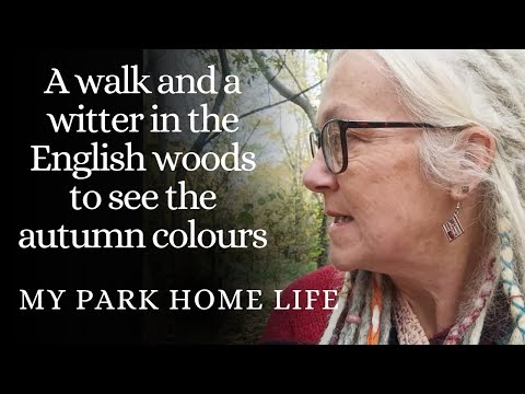 A peacock and a singing cat