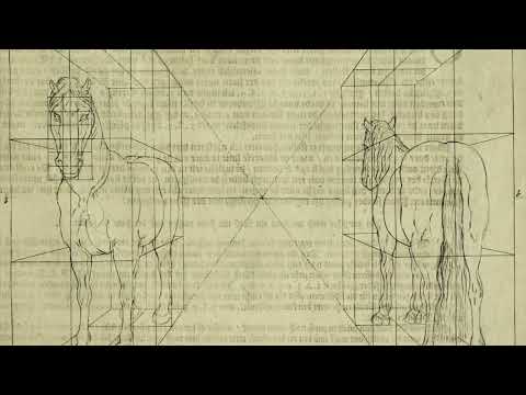 Órphans ( ryo takematsu - Otömika ) - Uma