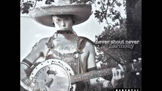 The Lousy Truth - Never Shout Never