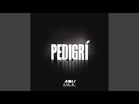 Pedigrí