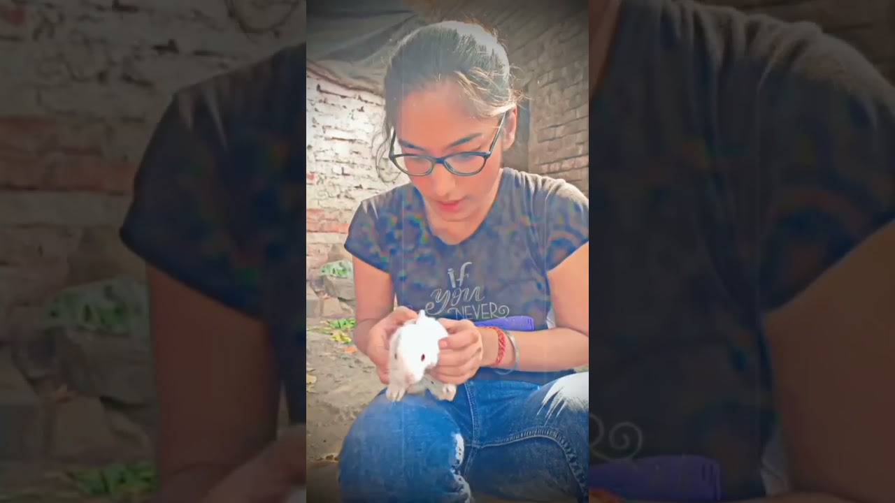 🐇🐰#cute #baby #rabbit #support #ytshorts #million #love #like #subscribers #youtube #kolkata #ytfeed