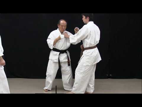 安田英治先生の技・三角蹴りを使った連続攻撃