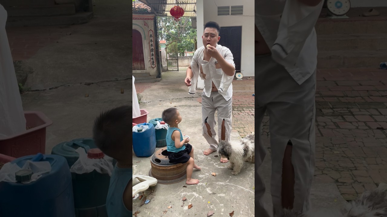 Bị cướp mất cái ăn rồi #funny