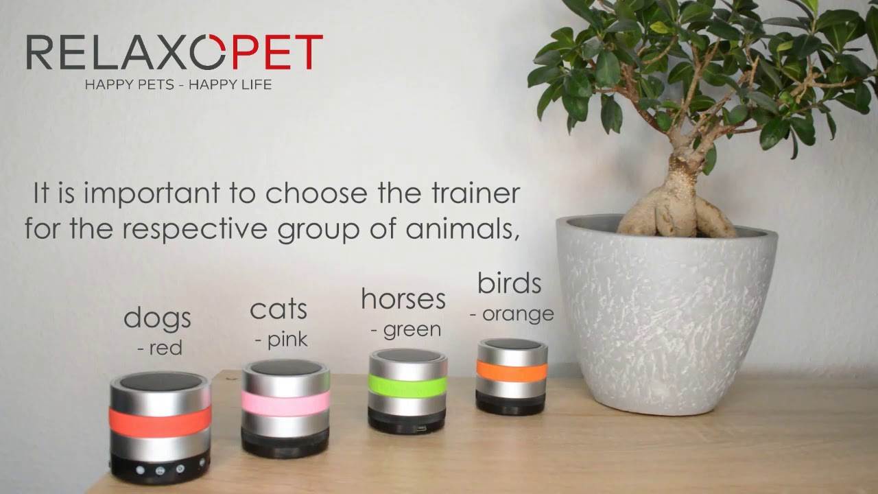For which animal group is the Pro Trainer suitable?