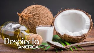 Por qué el aceite de coco no es tan saludable como se cree