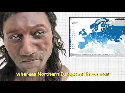 Regional genetics of Europeans - QPADM analysis