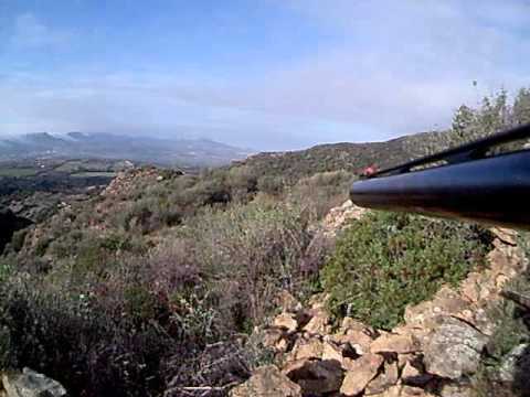 CACCIA AL CINGHIALE SARDEGNA (VIDDALBA 15/11/2015)