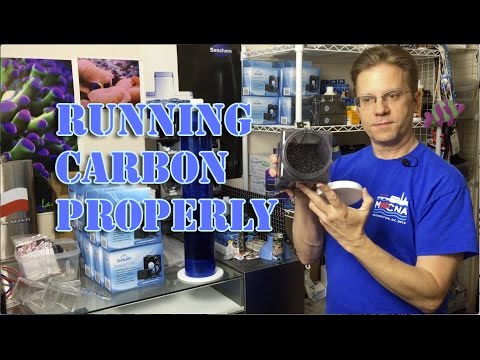 Running Carbon Properly in a reef aquarium