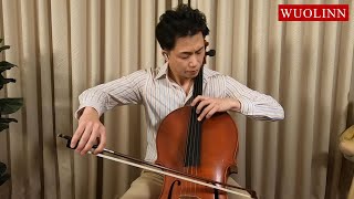 《Get Over》《The Swan (Le Cygne)》 Cover (Cello) by Show, 樂手演奏 Live performance/WUOLINN 沃林頻道