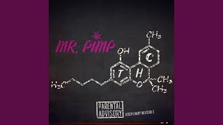 Mr Pimp Music Video