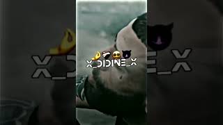 Didine canon 16