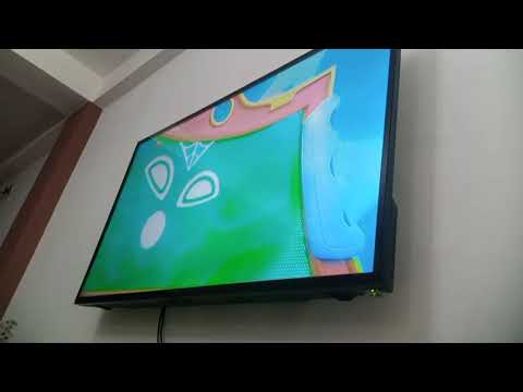 Evil green screen|ZP TV