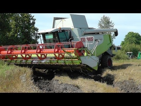 Lettland: Dreschen am Limit - Lexion 560 mit 1050er Reifen *uncut*
