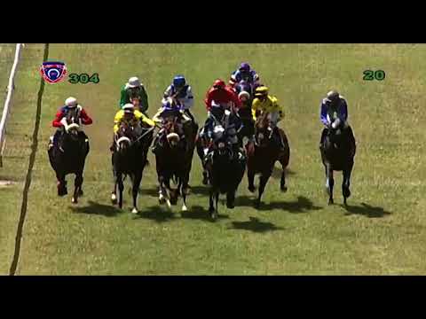 RM30 R4 | Bold Phoenix | J.Allyhosain