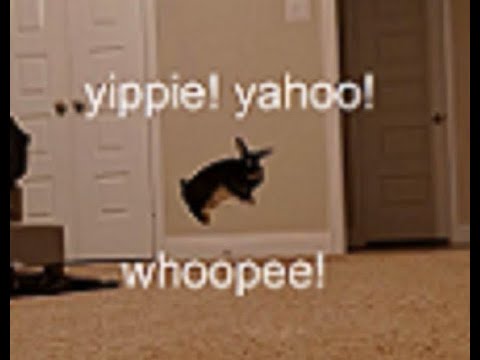 OkieDokie's Vocal Stim Compilation