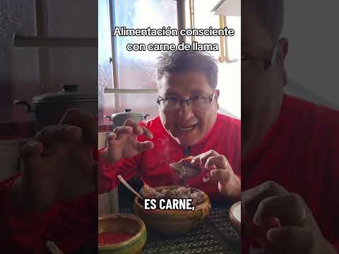 alimentación consciente con carne de llama aquí en #curahuara_de_carangas #Oruro #Bolivia