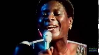 Darts - Boy From New York City (1978)