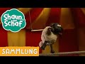 Shaun Das Schaf Timmy Im Zirkus Mix 1Std