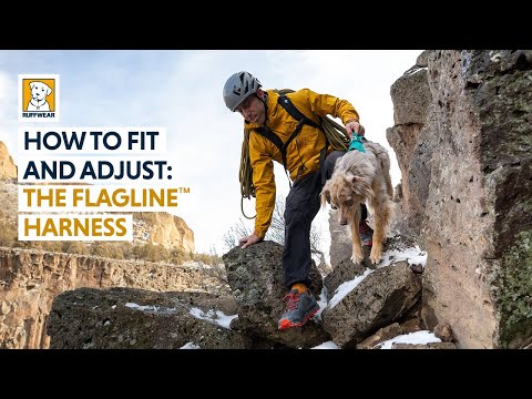 Kako namestiti in prilagoditi: The Flagline™ Harness