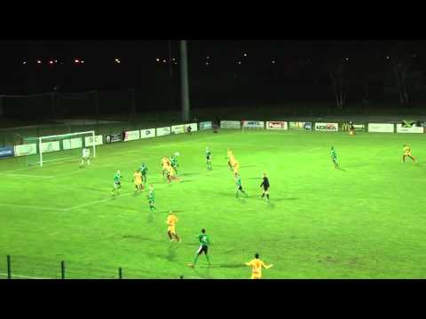 National : Orléans - Colmar 1-1