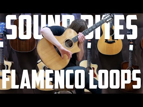 BOSS RC-30 | FLAMENCO LOOPS