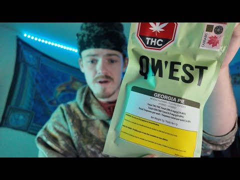 GEORGIA PIE STRAIN REVIEW