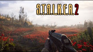32 初心者向け解説動画『S.T.A.L.K.E.R. 2: Heart of Chornobyl』ストーカー2：ハート・オブ・チョルノービリ　慢性びえん実況