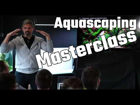 Expert Insights: Masterclass Hosted by Juan Puchades