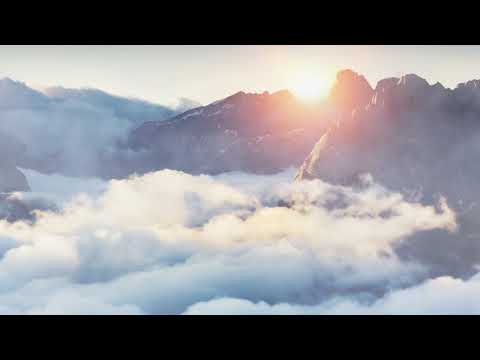 Olena Kovernik -Ліловий (Official Lyric Video)