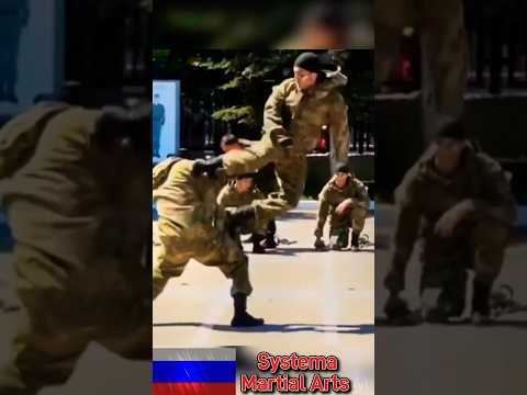 Russian Spetsnaz Martial Arts: “The Art of Systema”