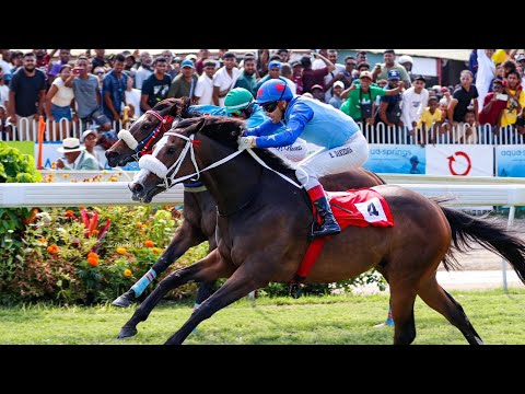 The Aqua Springs Duke of York cup 2025(Group 1)- Meridius