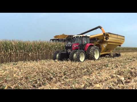 2014 Corn Harvest  near Medora Illinois Video