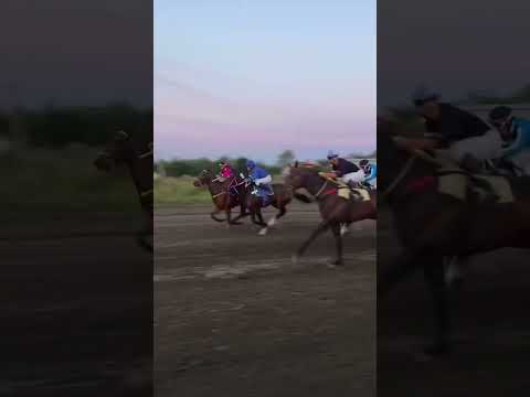 “#hipodromo #lapaz #entrerios #turf #caballos #spc #tendencias #TurfTotal